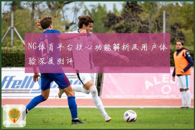 NG体育平台核心功能解析及用户体验深度测评
