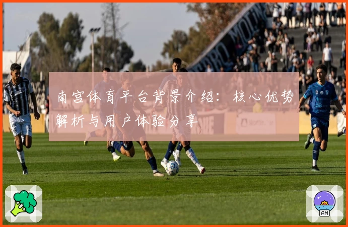 南宫体育平台背景介绍：核心优势解析与用户体验分享